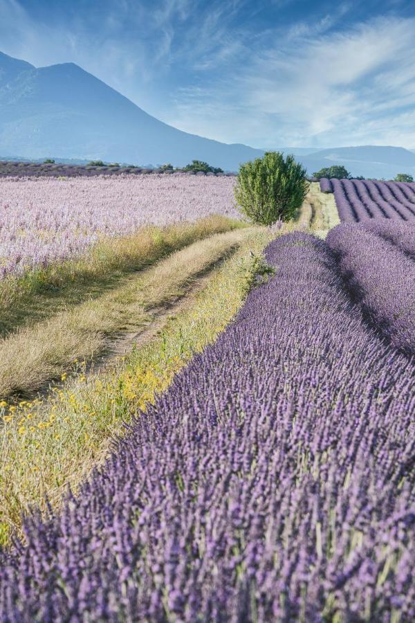 Gite Le Val Zen Valaurie - Drome Provencale المظهر الخارجي الصورة